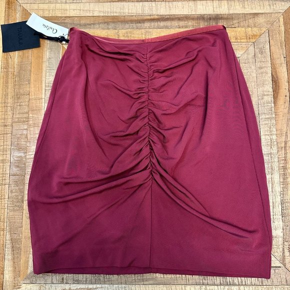 Aritzia Talula Ruched Mini Skirt Red Cordovan - XS - Picture 1 of 3